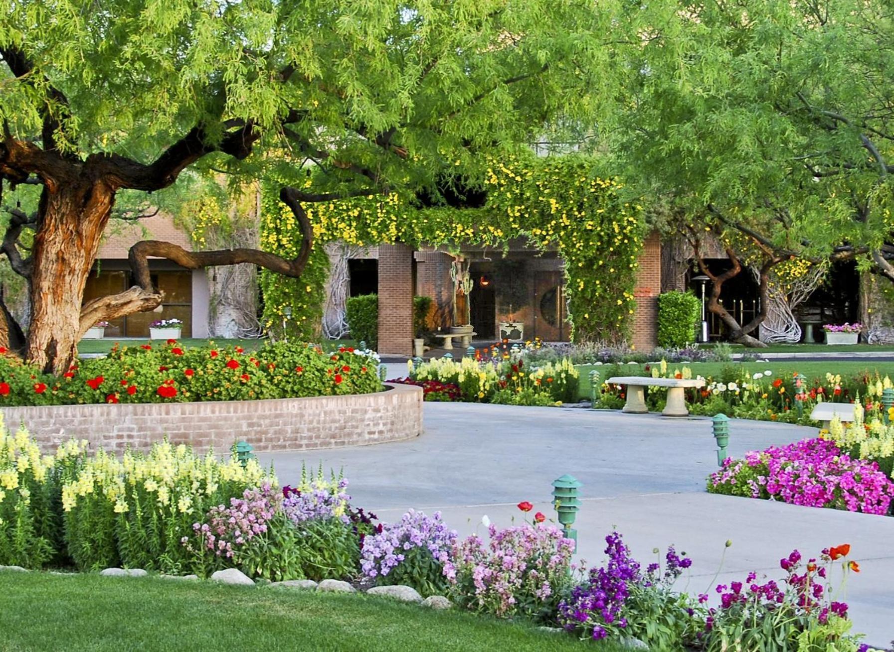 The At Ventana Canyon 4*