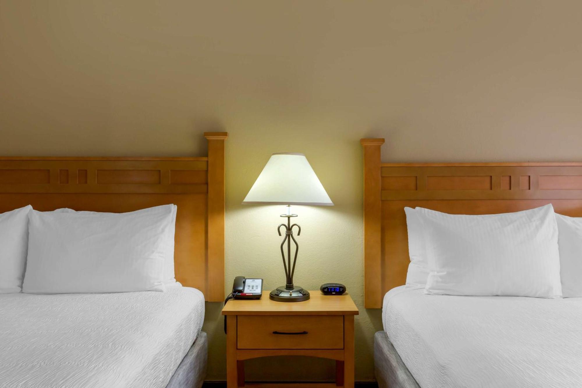 Hotel Western Paint Pony