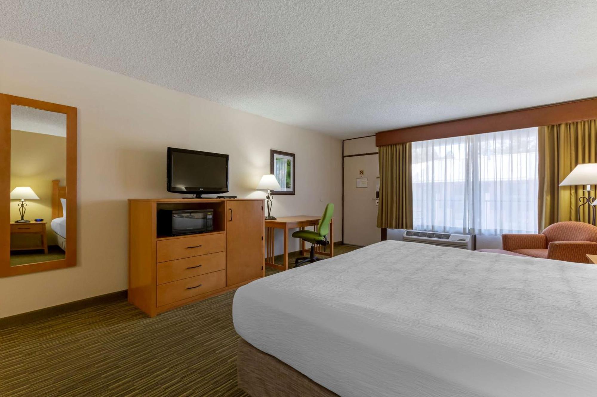 Hotel Western Paint Pony