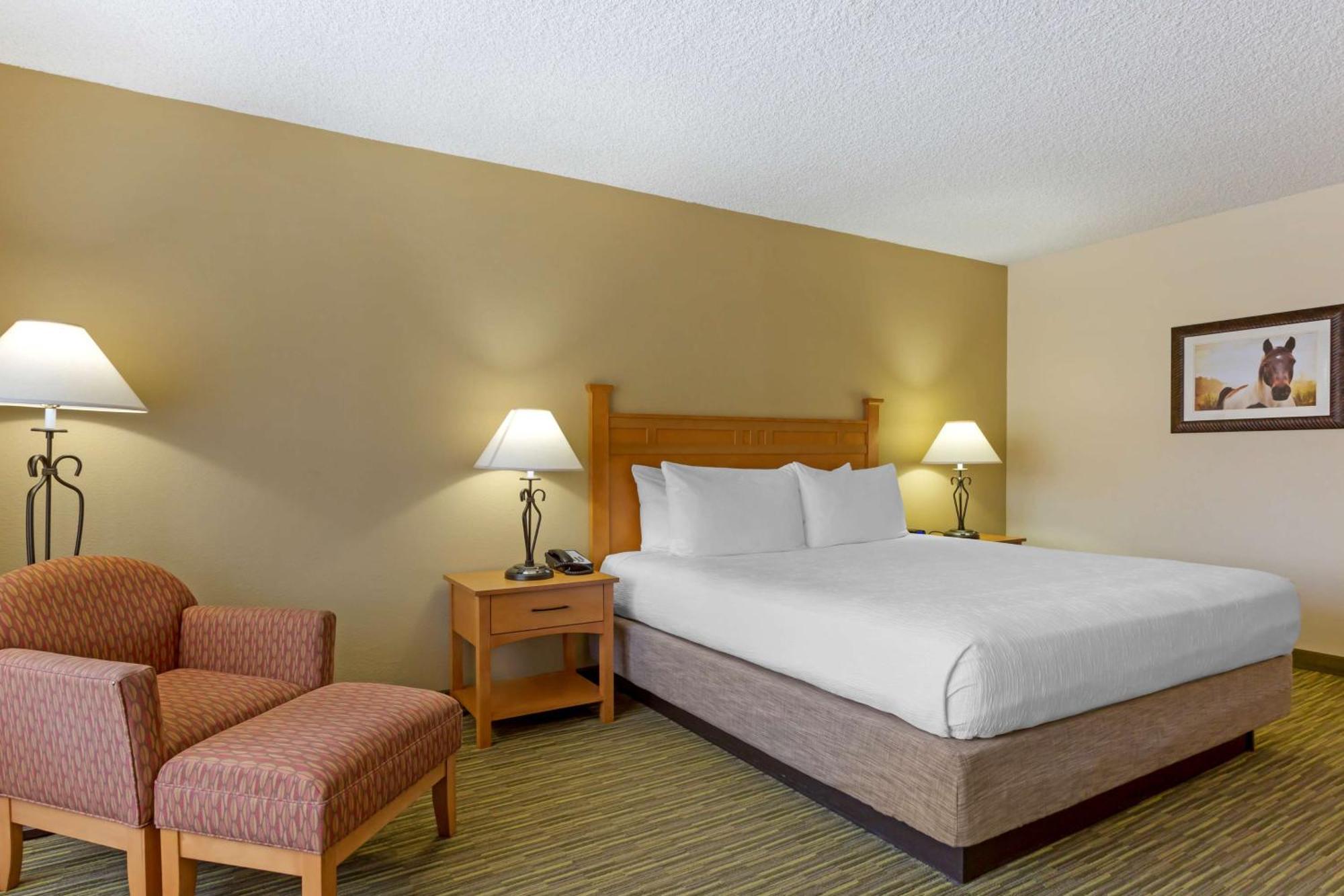 Hotel Western Paint Pony