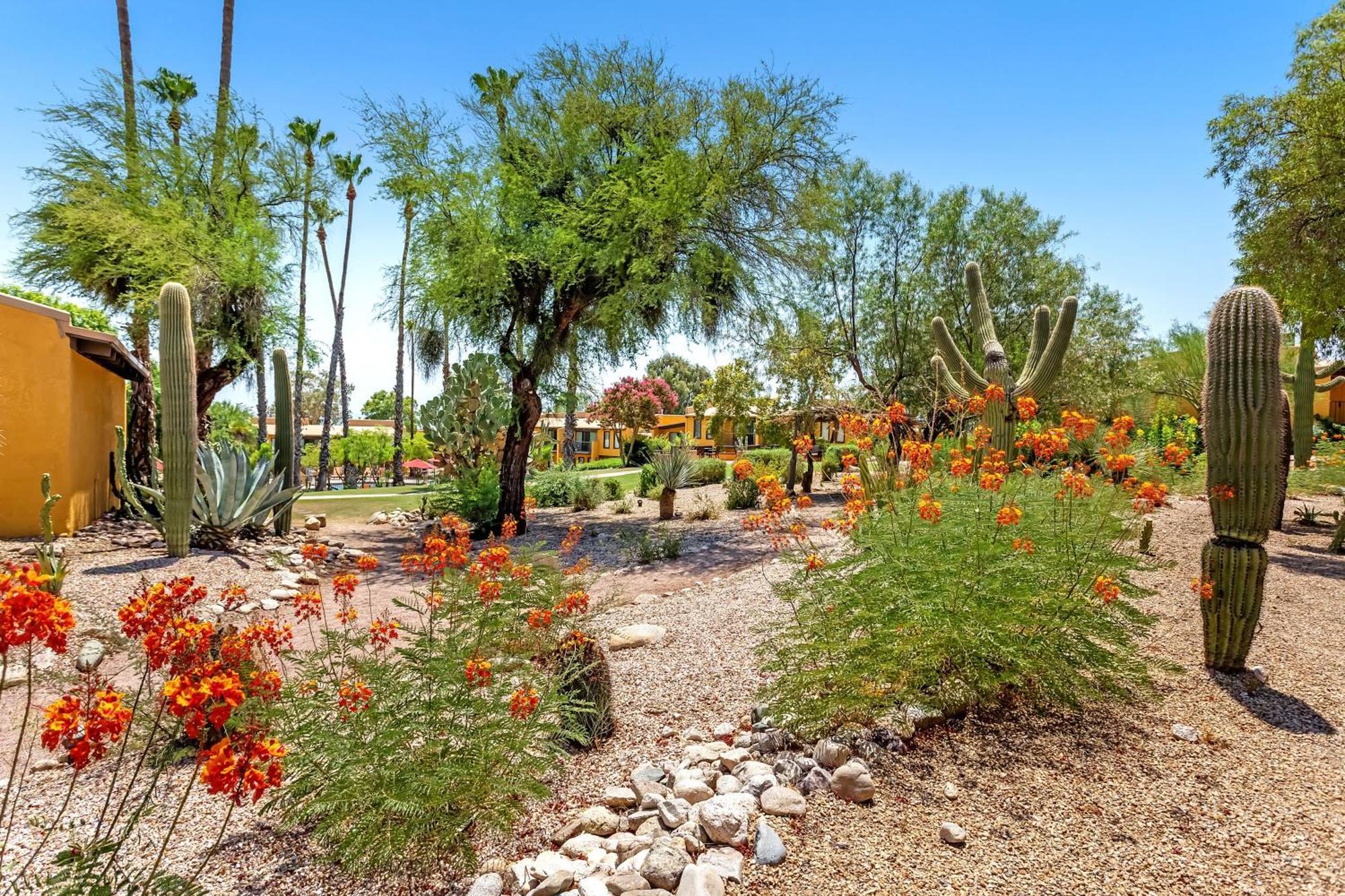 Resort Westward Look Wyndham Grand & Tucson