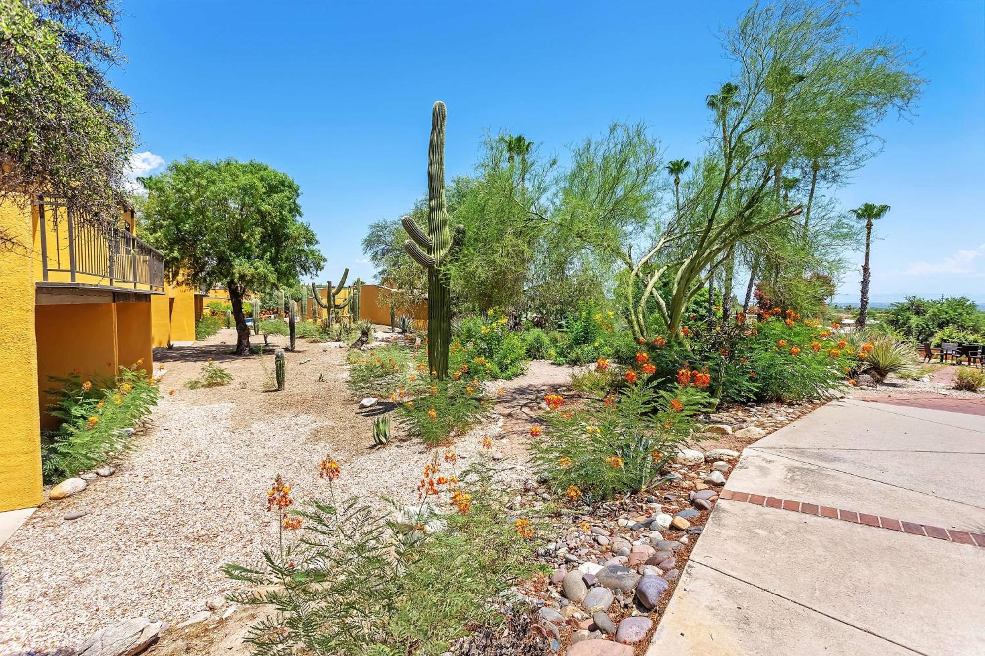 Westward Look Wyndham Grand & 4*