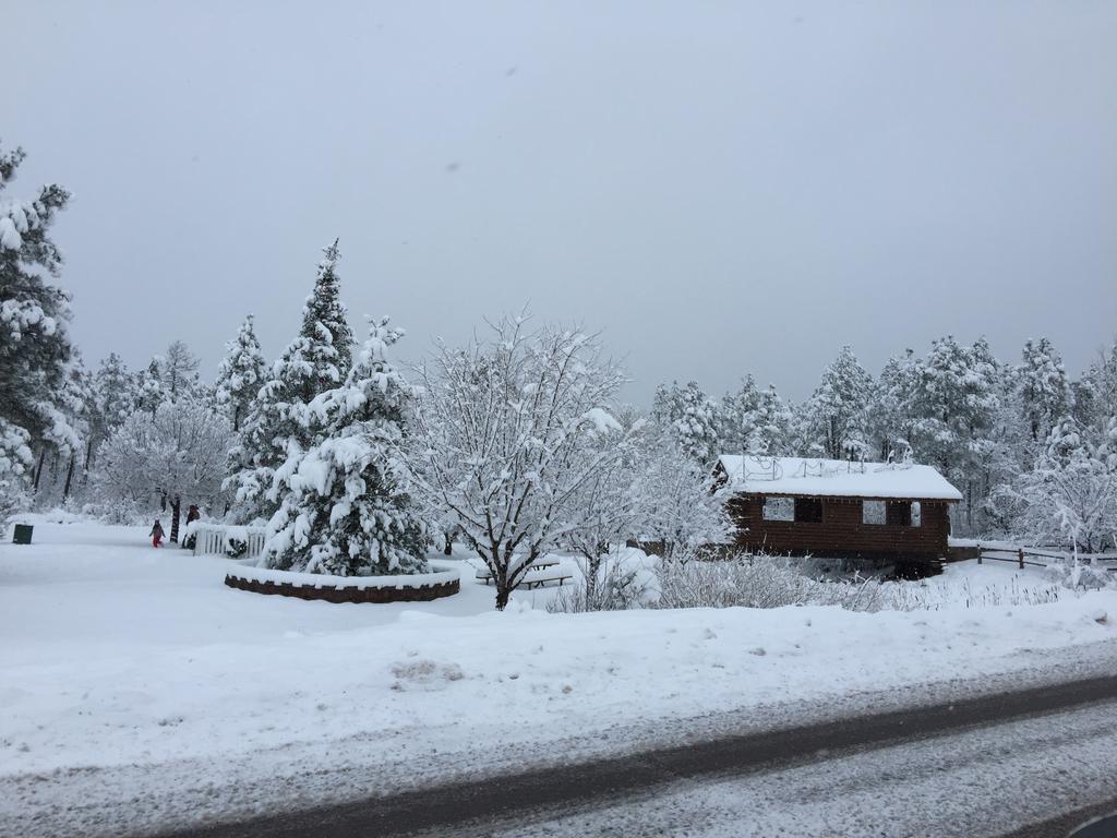 Mountain Haven