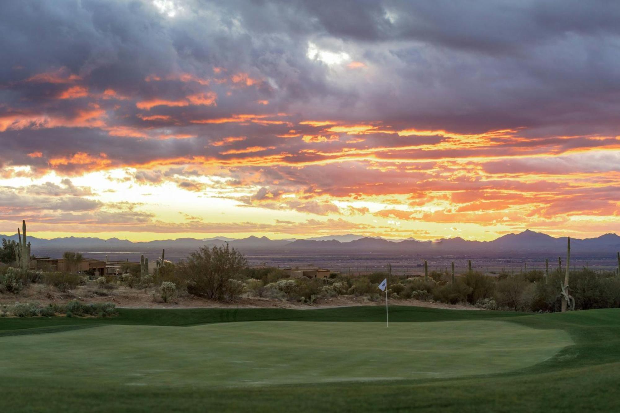 The Ritz-carlton, Dove Mountain 5*