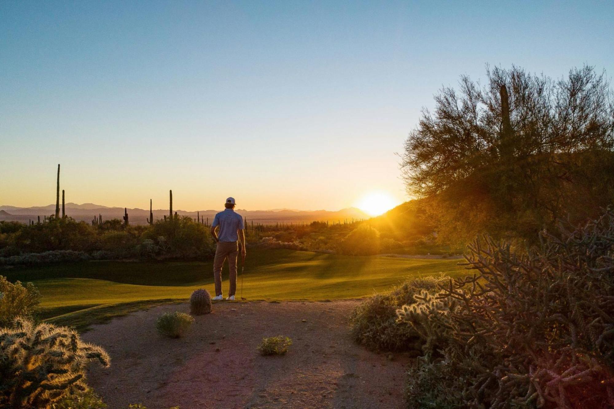 Resort The Ritz-carlton, Dove Mountain 5*