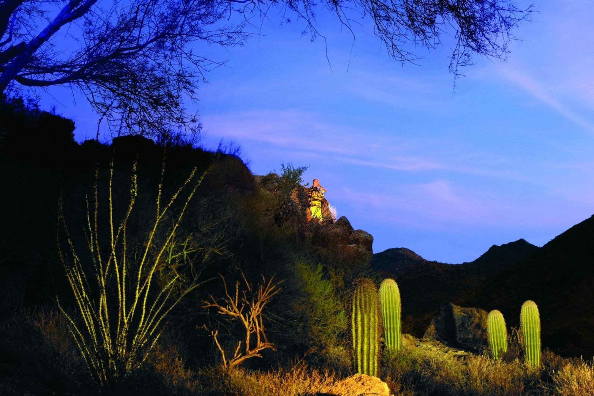 The Ritz-carlton, Dove Mountain 5*