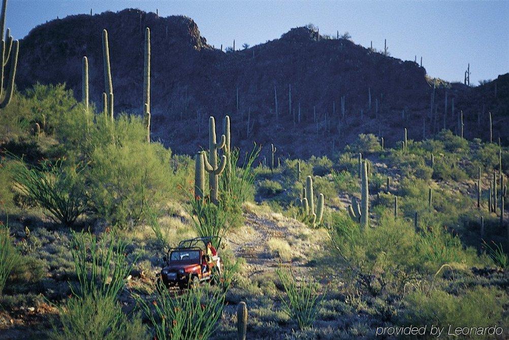 Rancho De Caballeros Wickenburg