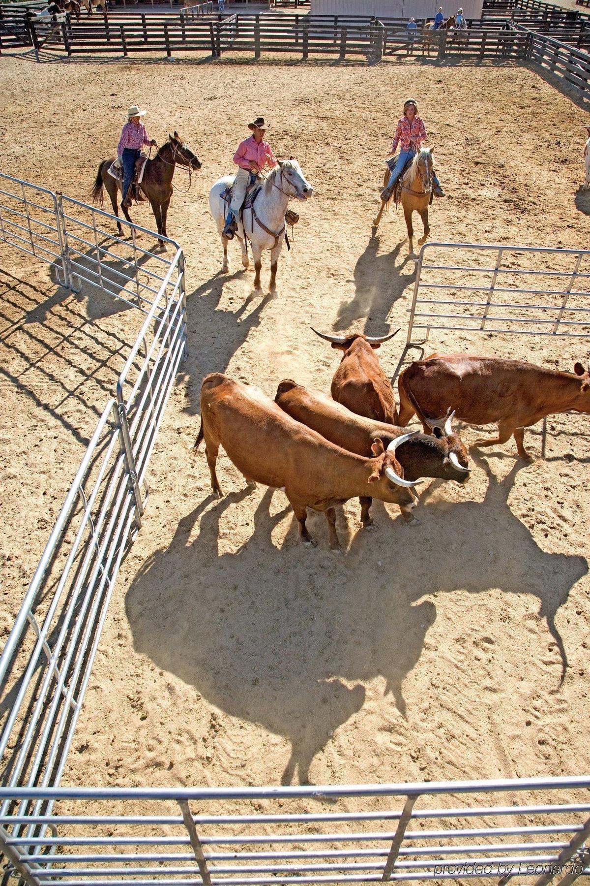 Rancho De Caballeros Resort