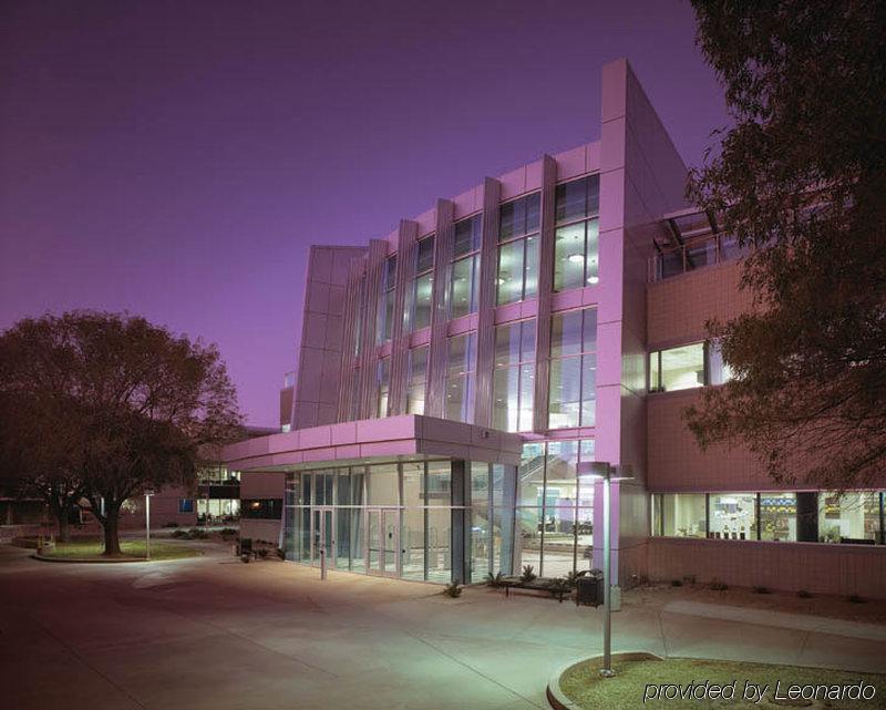 Phoenix-mesa Chandler By Ihg Hotel 3*
