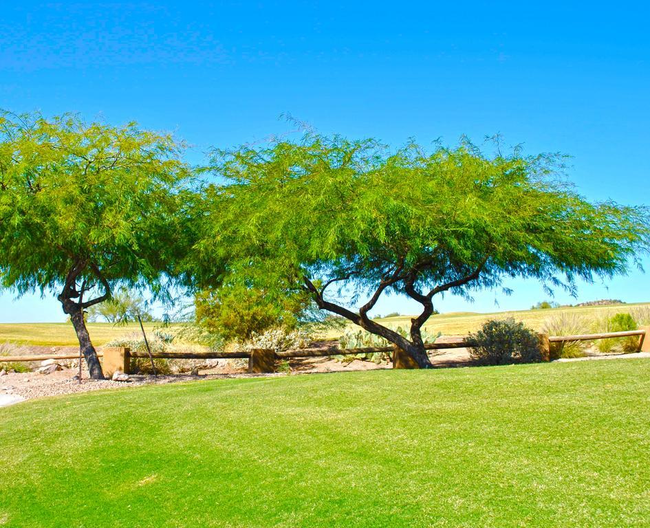 Golf Gold Canyon
