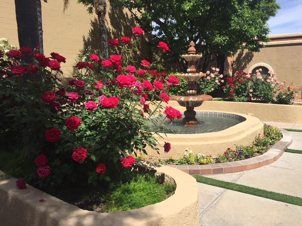 Hotel Ramada East Tucson
