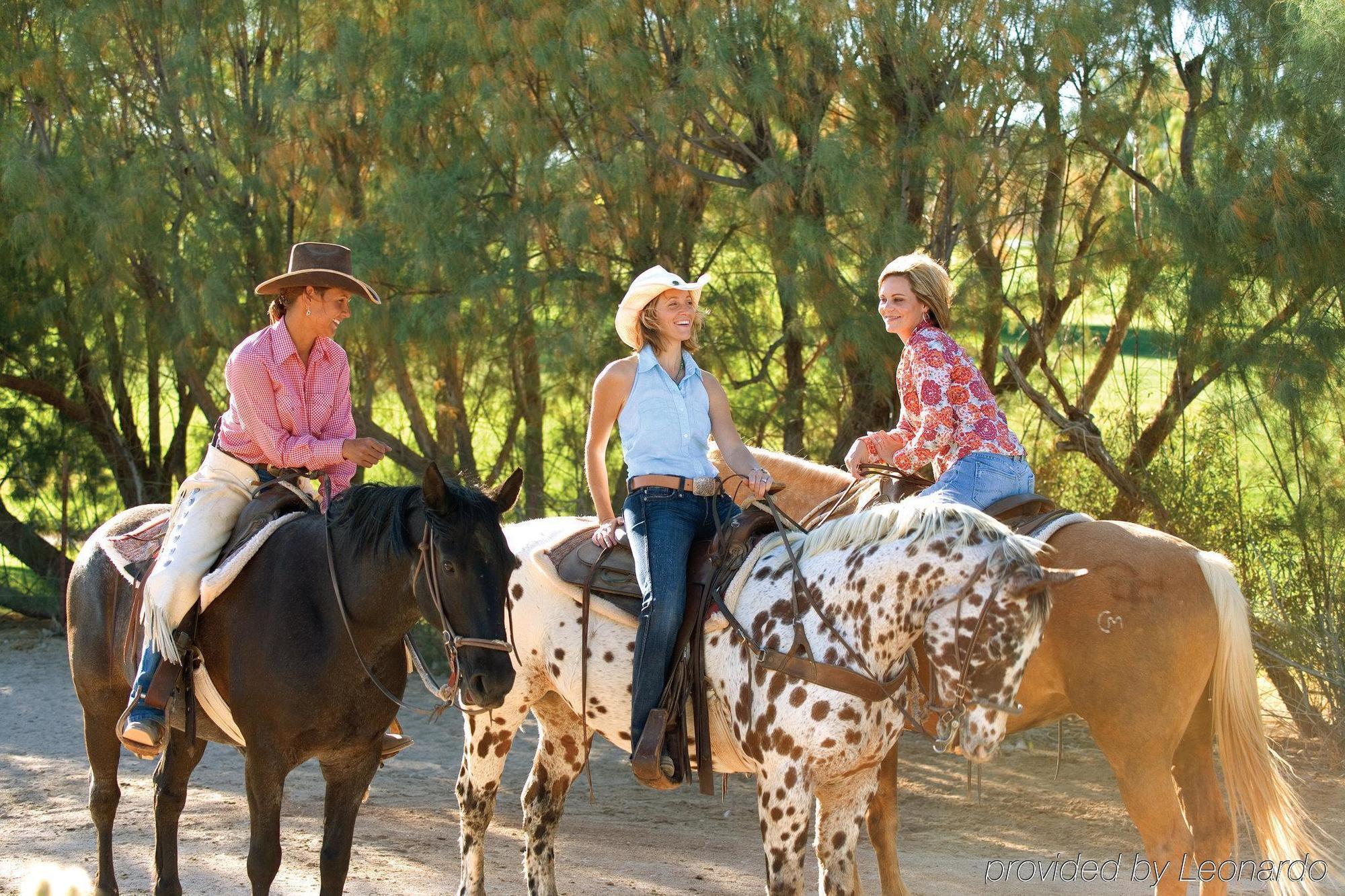 Resort Rancho De Caballeros