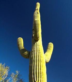 Sonesta Es Phoenix Hotel 3*