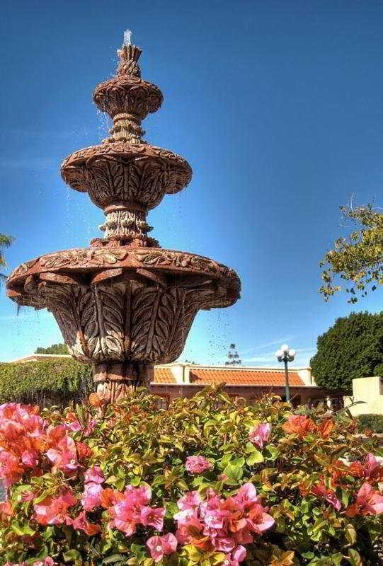 Dobson Ranch 3*