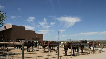 Stagecoach Trails Guest Ranch 4* Yucca