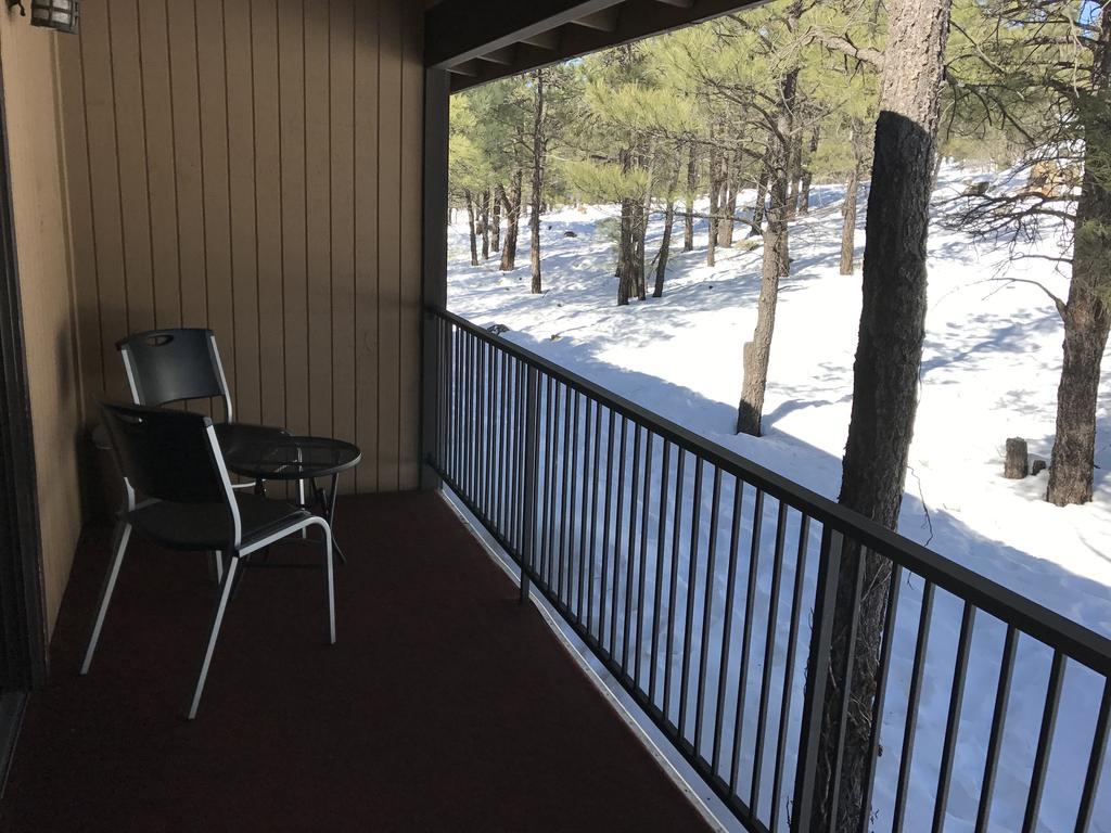Motel In The Pines