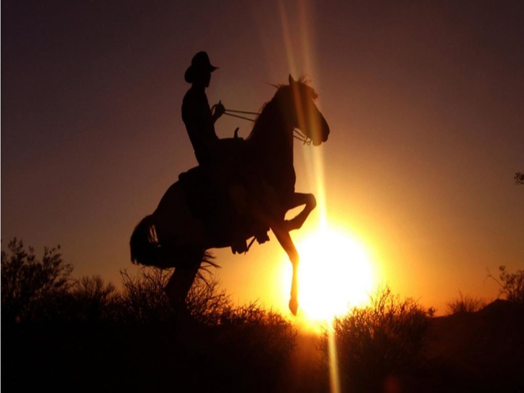 Stagecoach Trails Guest Ranch Yucca