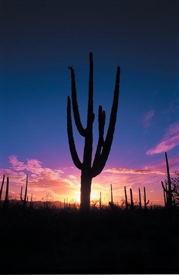 Worldmark Rancho Vistoso Oro Valley