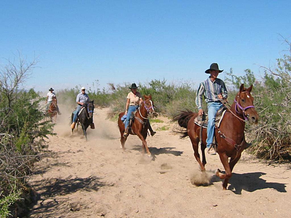 Resort Stagecoach Trails Guest Ranch 4*