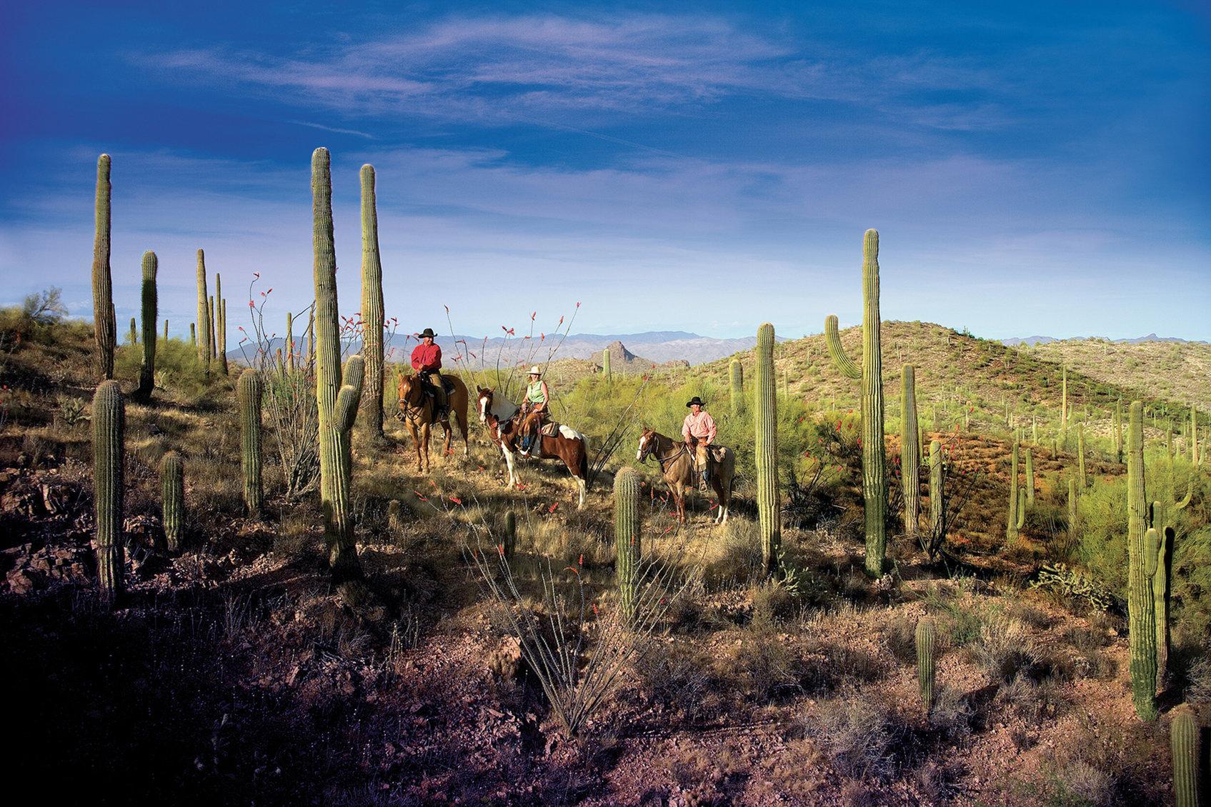 Rancho De Caballeros 3*