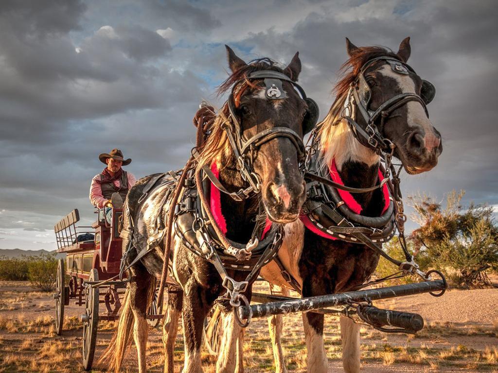 Resort Stagecoach Trails Guest Ranch 4*