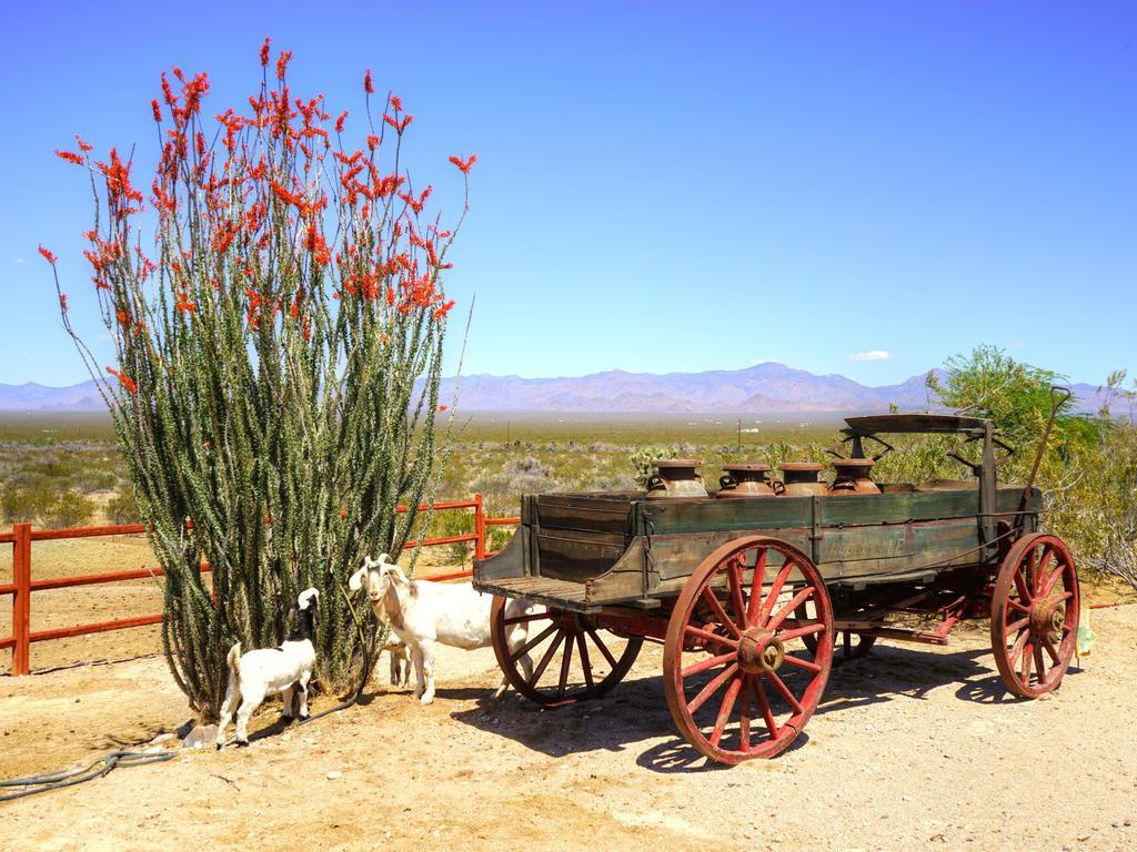 Stagecoach Trails Guest Ranch