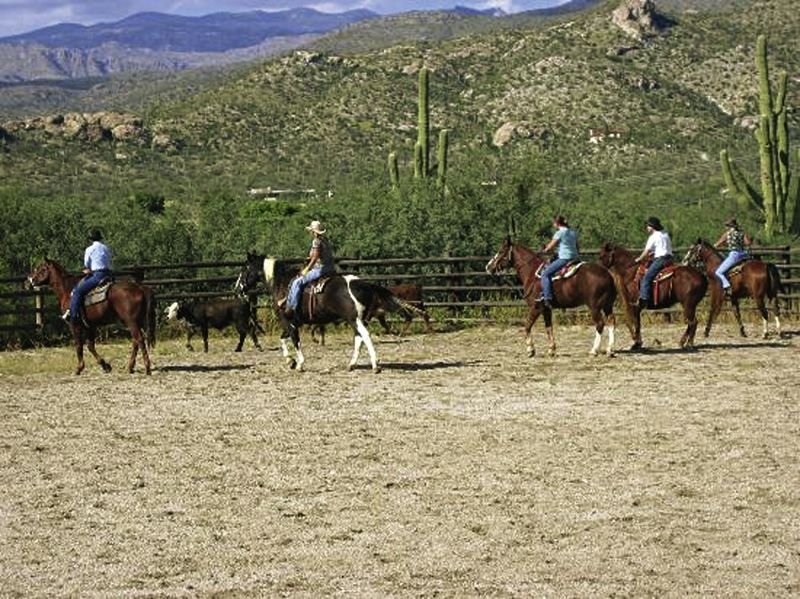 Lodge Tanque Guest Ranch Tucson