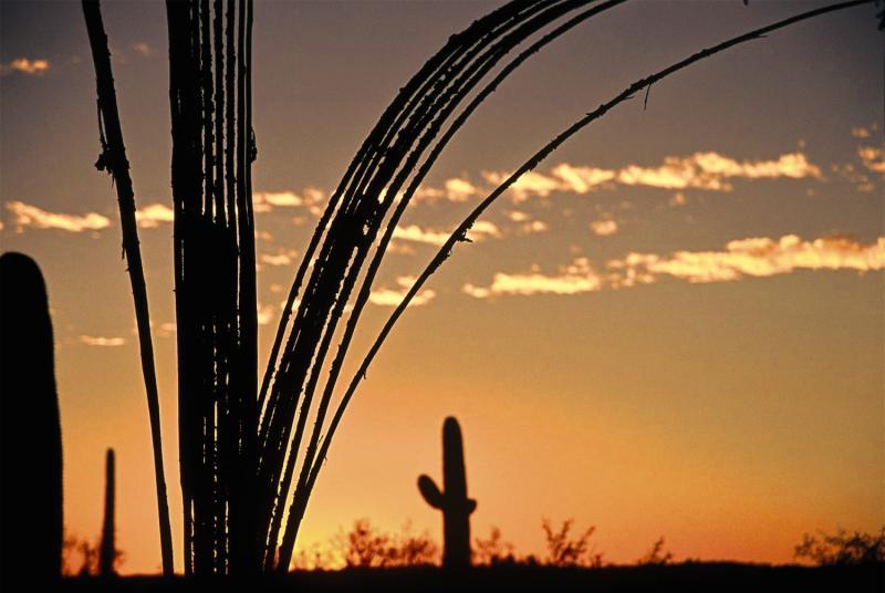 Tanque Guest Ranch