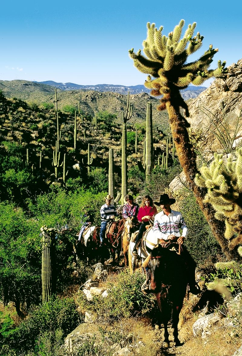 Tanque Guest Ranch *