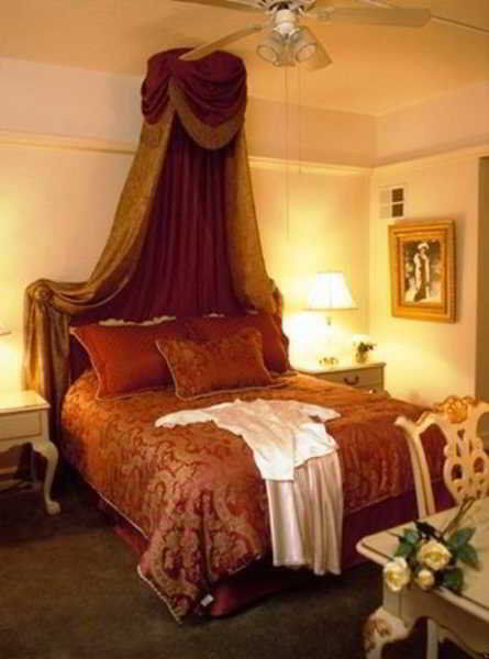 San Carlos (adults Only)
