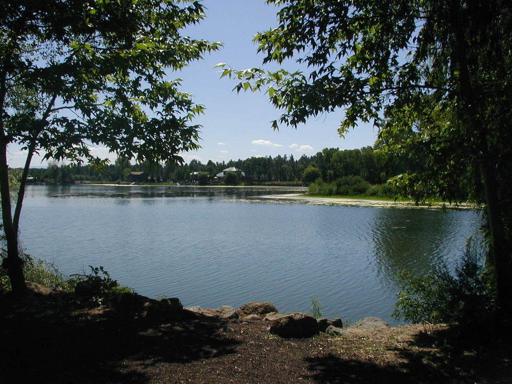 Lazy Oaks Inn Pinetop-Lakeside