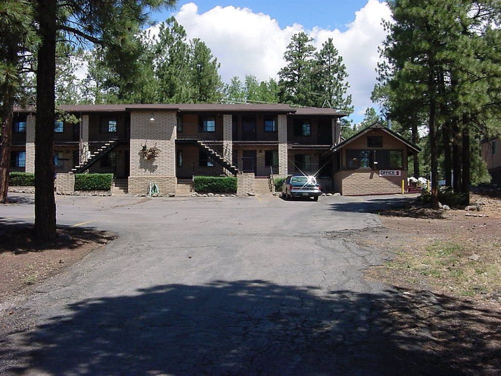Motel In The Pines