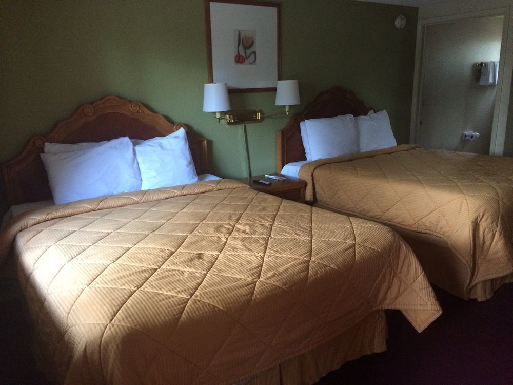 Motel In The Pines 2*