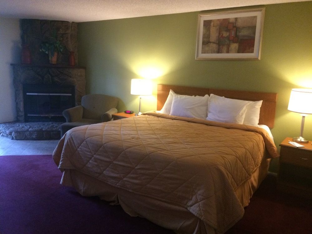 Motel In The Pines