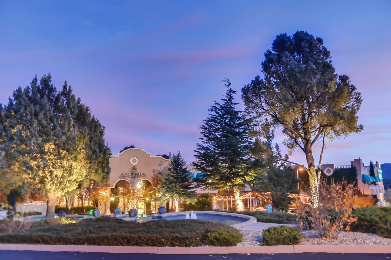 Hotel Forest