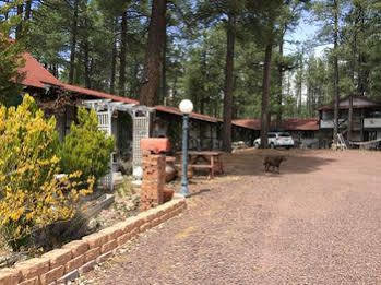 Mountain Haven