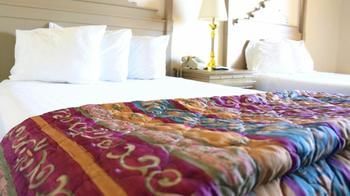 6 Havasu Az Hotel Lake Havasu City