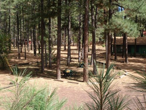 Timberlodge * Pinetop-Lakeside