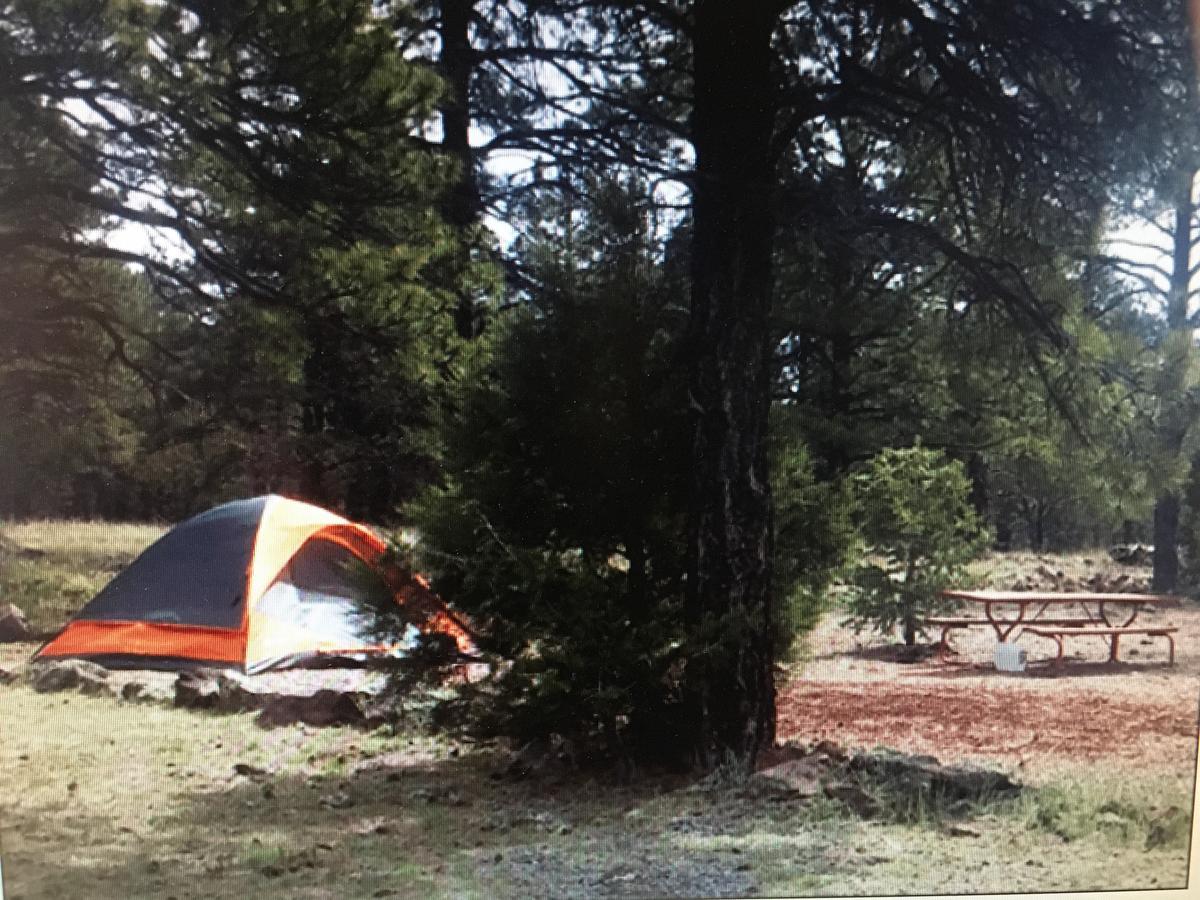 The Canyon & Rv Park