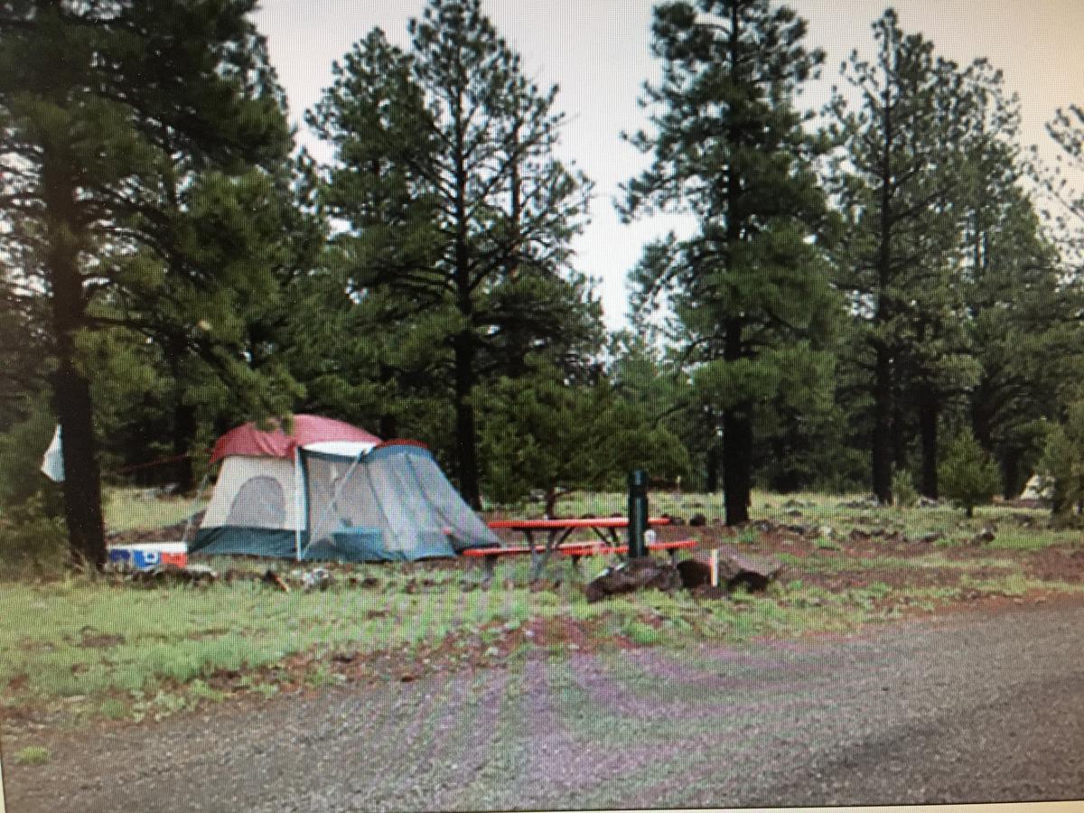 Motel The Canyon & Rv Park Williams