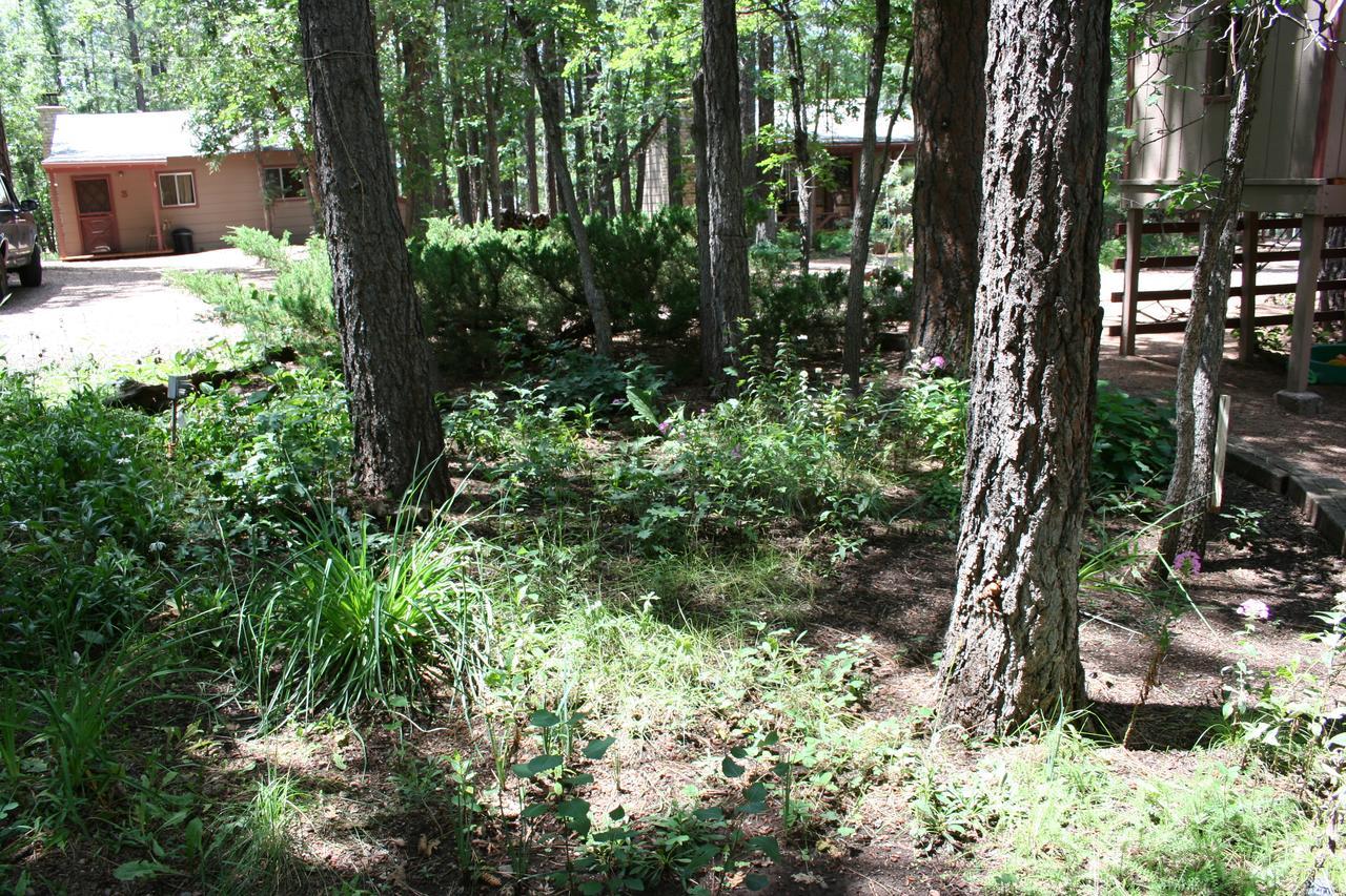 Northwoods Lodge Pinetop-Lakeside
