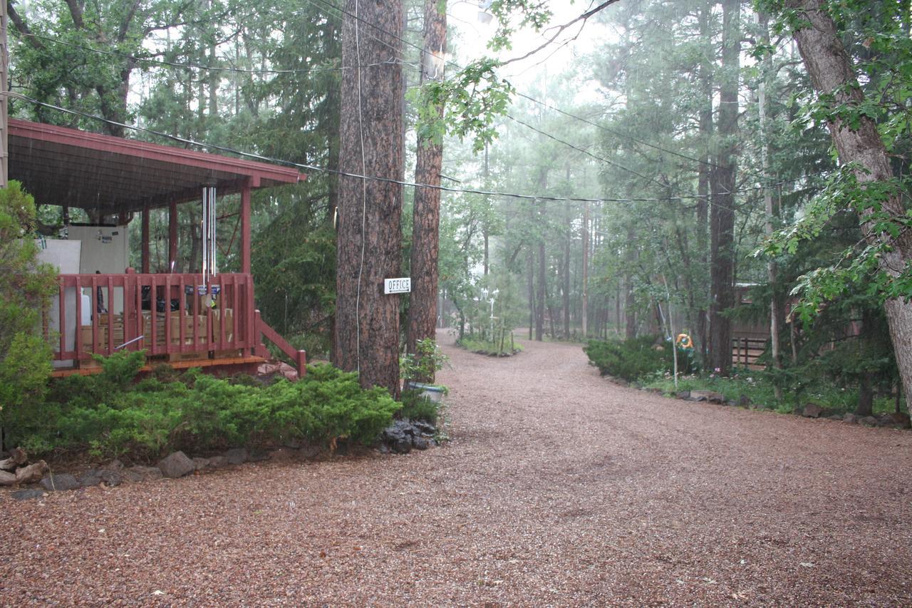 Northwoods *