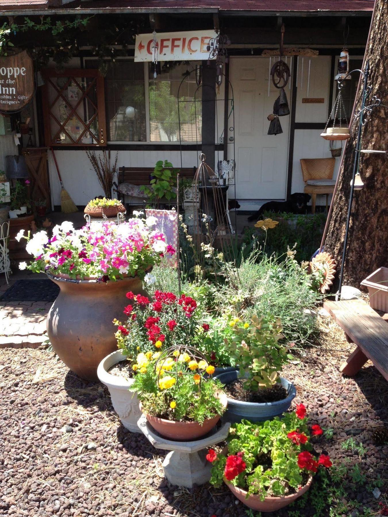 Hotel Mountain Haven Pinetop-Lakeside
