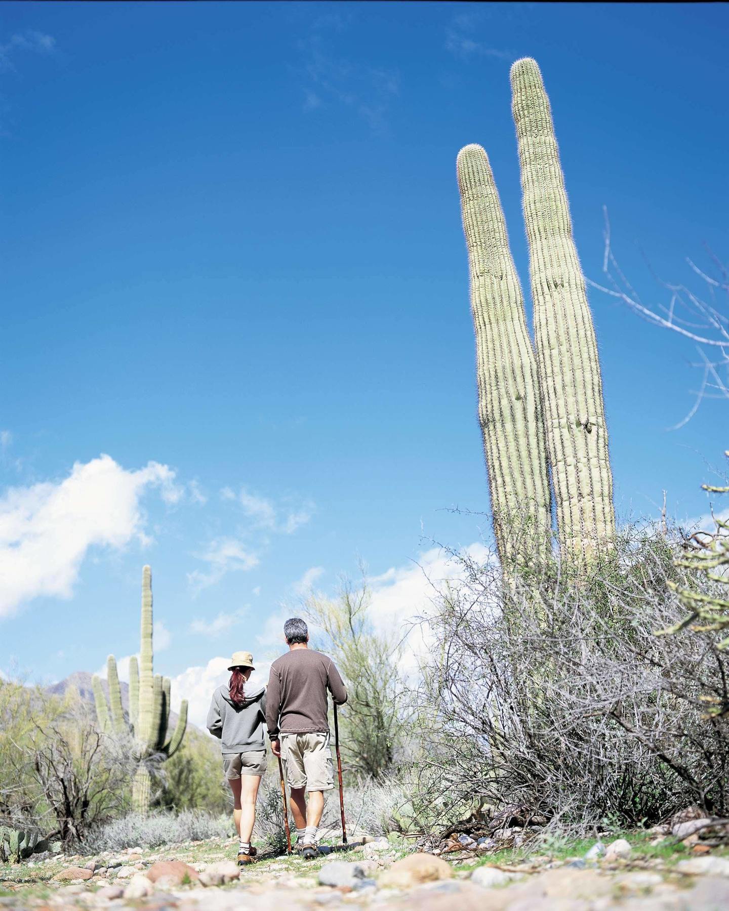 The Westin Kierland Villas, Scottsdale