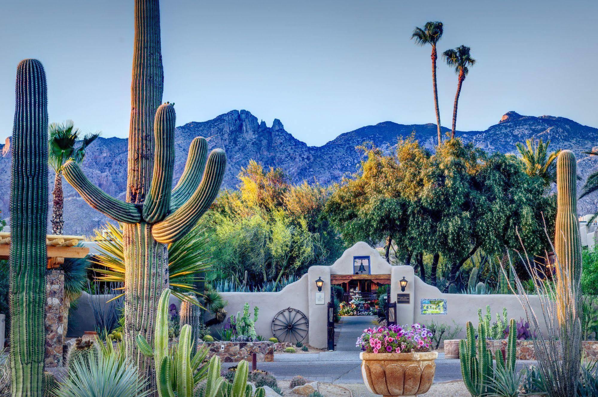Hacienda Del Sol Guest Ranch Resort 3*