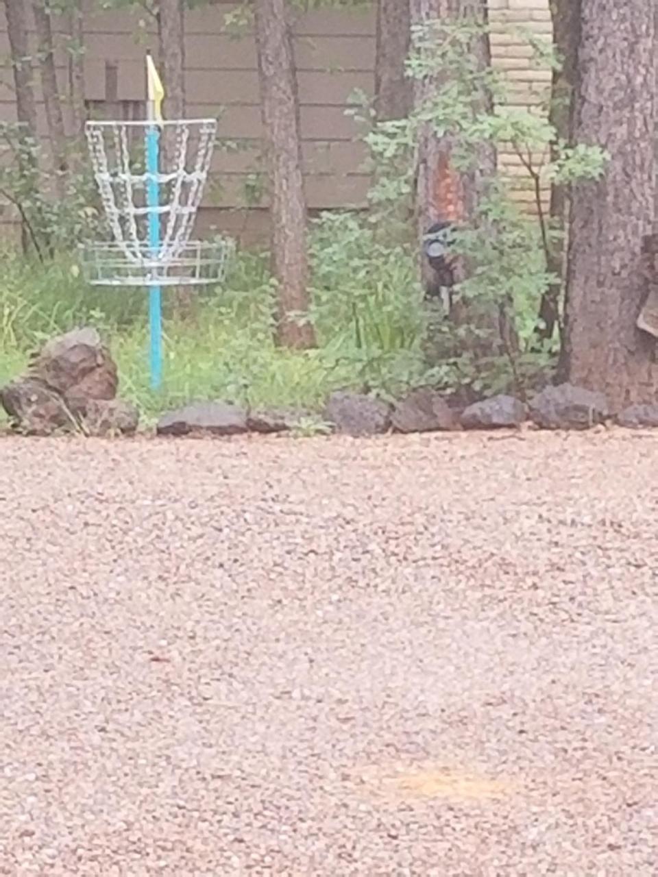 Lodge Northwoods Pinetop-Lakeside