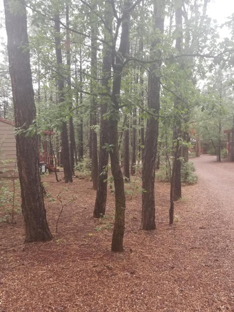 Lodge Northwoods Pinetop-Lakeside