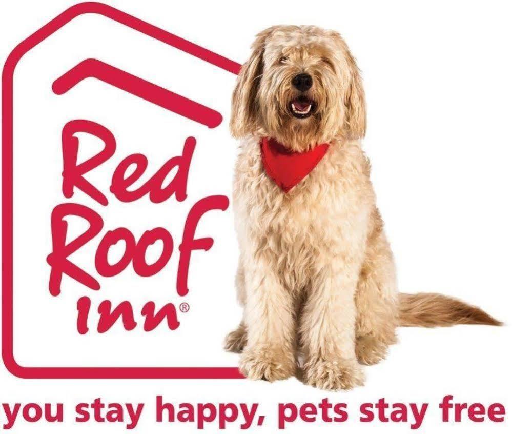 Red Roof North - I-17 At Bell Rd 2*