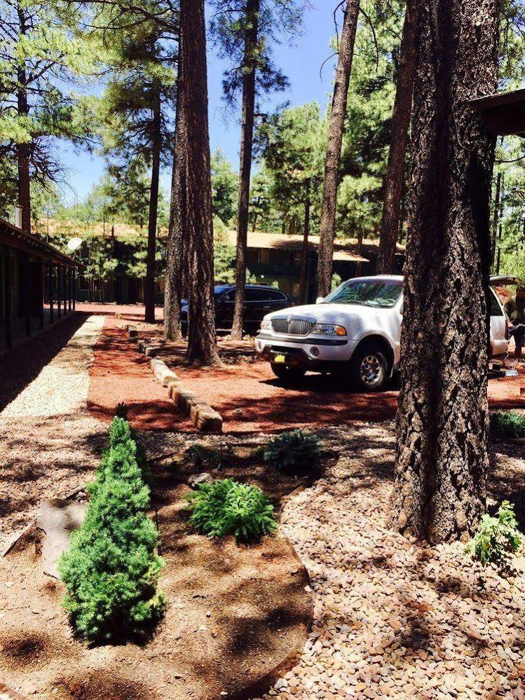 Timberlodge