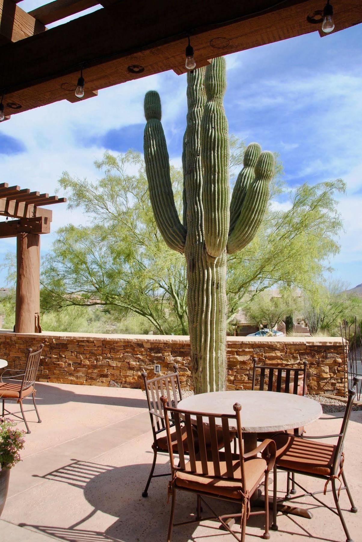 At Eagle Mountain Hotel Fountain Hills
